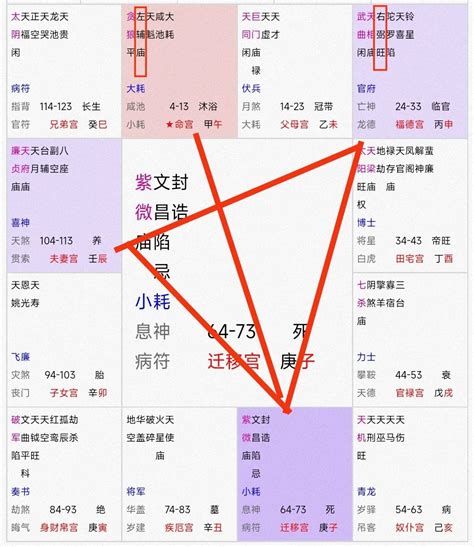 紫微斗數12宮|紫薇十二宫